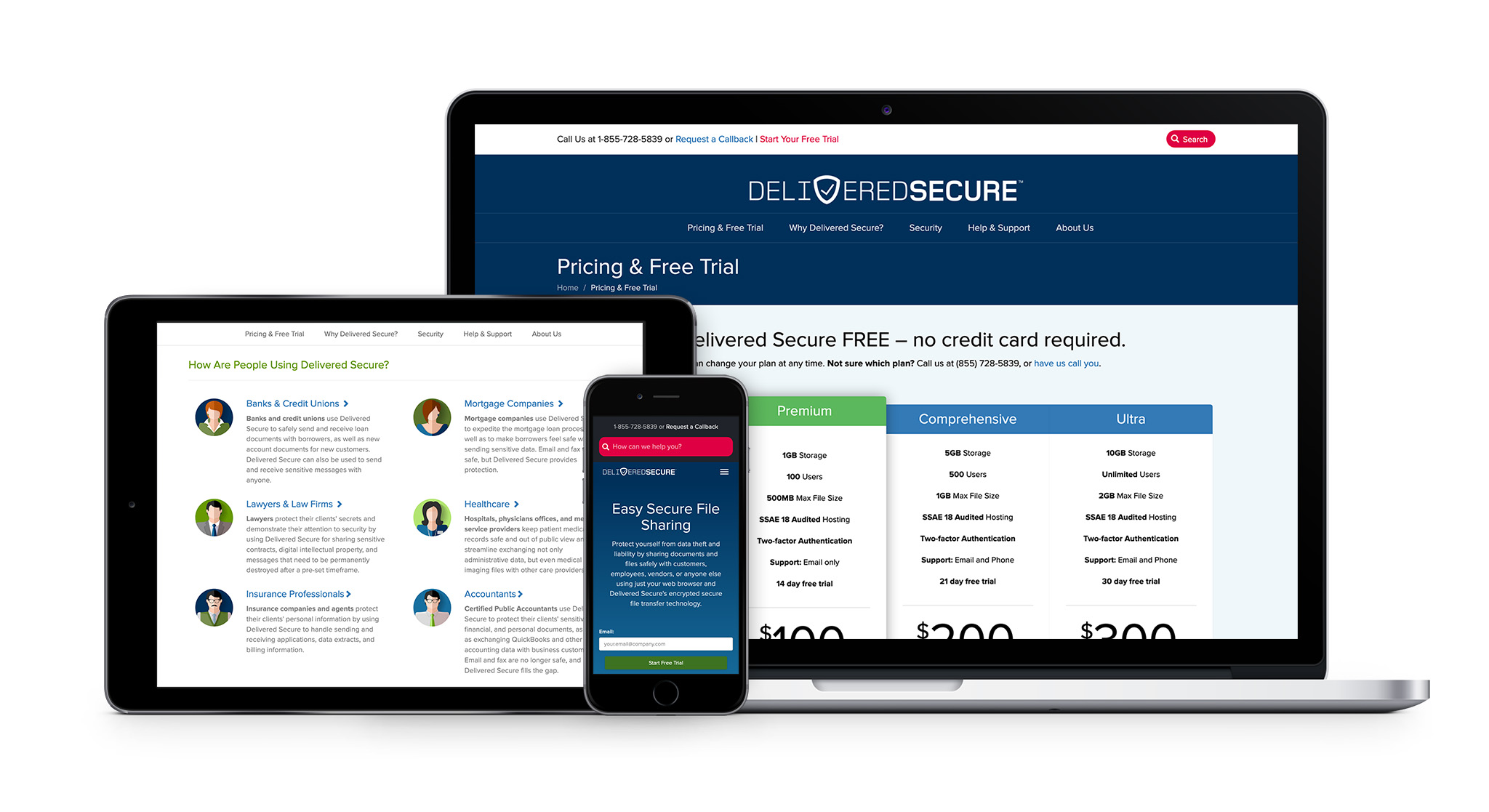 Phone, Tablet, and Desktop preview of Delivered Secure Marketing Website